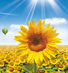 UED����-����Ʒ������